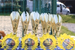 3-VN-OBCINE-DOMZALE-2026-0009