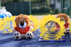 3-VN-OBCINE-DOMZALE-2026-0011