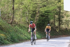 3-VN-OBCINE-DOMZALE-2026-0164