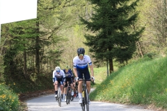 3-VN-OBCINE-DOMZALE-2026-0168