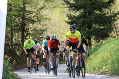 3-VN-OBCINE-DOMZALE-2026-0224