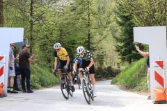 3-VN-OBCINE-DOMZALE-2026-0629