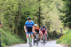 3-VN-OBCINE-DOMZALE-2026-0640