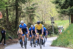 3-VN-OBCINE-DOMZALE-2026-0652