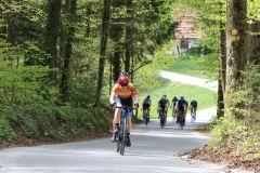 3-VN-OBCINE-DOMZALE-2026-0675