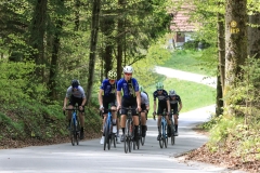 3-VN-OBCINE-DOMZALE-2026-0679