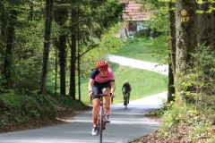 3-VN-OBCINE-DOMZALE-2026-0697