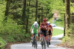 3-VN-OBCINE-DOMZALE-2026-0713