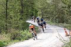 3-VN-OBCINE-DOMZALE-2026-0753