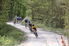 3-VN-OBCINE-DOMZALE-2026-0765-2