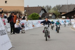 3-VN-OBCINE-DOMZALE-2026-0767