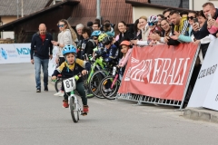 3-VN-OBCINE-DOMZALE-2026-0790