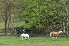 3-VN-OBCINE-DOMZALE-2026-0824