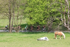 3-VN-OBCINE-DOMZALE-2026-0849-2