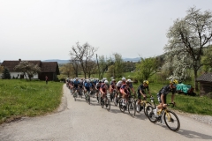 3-VN-OBCINE-DOMZALE-2026-0996