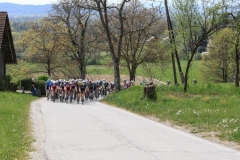 3-VN-OBCINE-DOMZALE-2026-1015