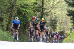 3-VN-OBCINE-DOMZALE-2026-1020