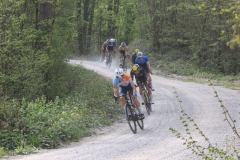 3-VN-OBCINE-DOMZALE-2026-1119