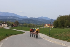 3-VN-OBCINE-DOMZALE-2026-1252