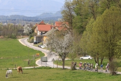 3-VN-OBCINE-DOMZALE-2026-1303