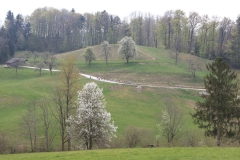 5-POKAL-CALCIT-KAMNIK-2026-0077