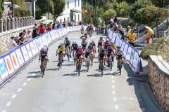 Kriterij-Tadeja-Pogacarja-2026-0077