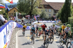 Kriterij-Tadeja-Pogacarja-2026-0166
