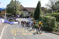 Kriterij-Tadeja-Pogacarja-2026-0386
