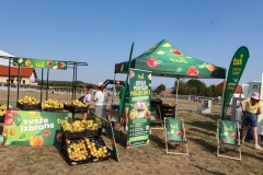 Kriterij-Tadeja-Pogacarja-2026-0712