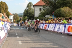 Kriterij-Tadeja-Pogacarja-2026-1097